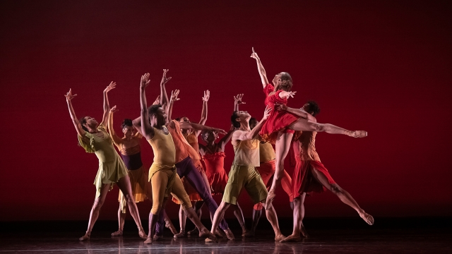 Dance Theatre of Harlem Dancers from Dance Theatre of Harlem